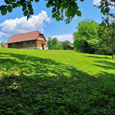 Bakina Iza Villa Duga Resa Exterior photo