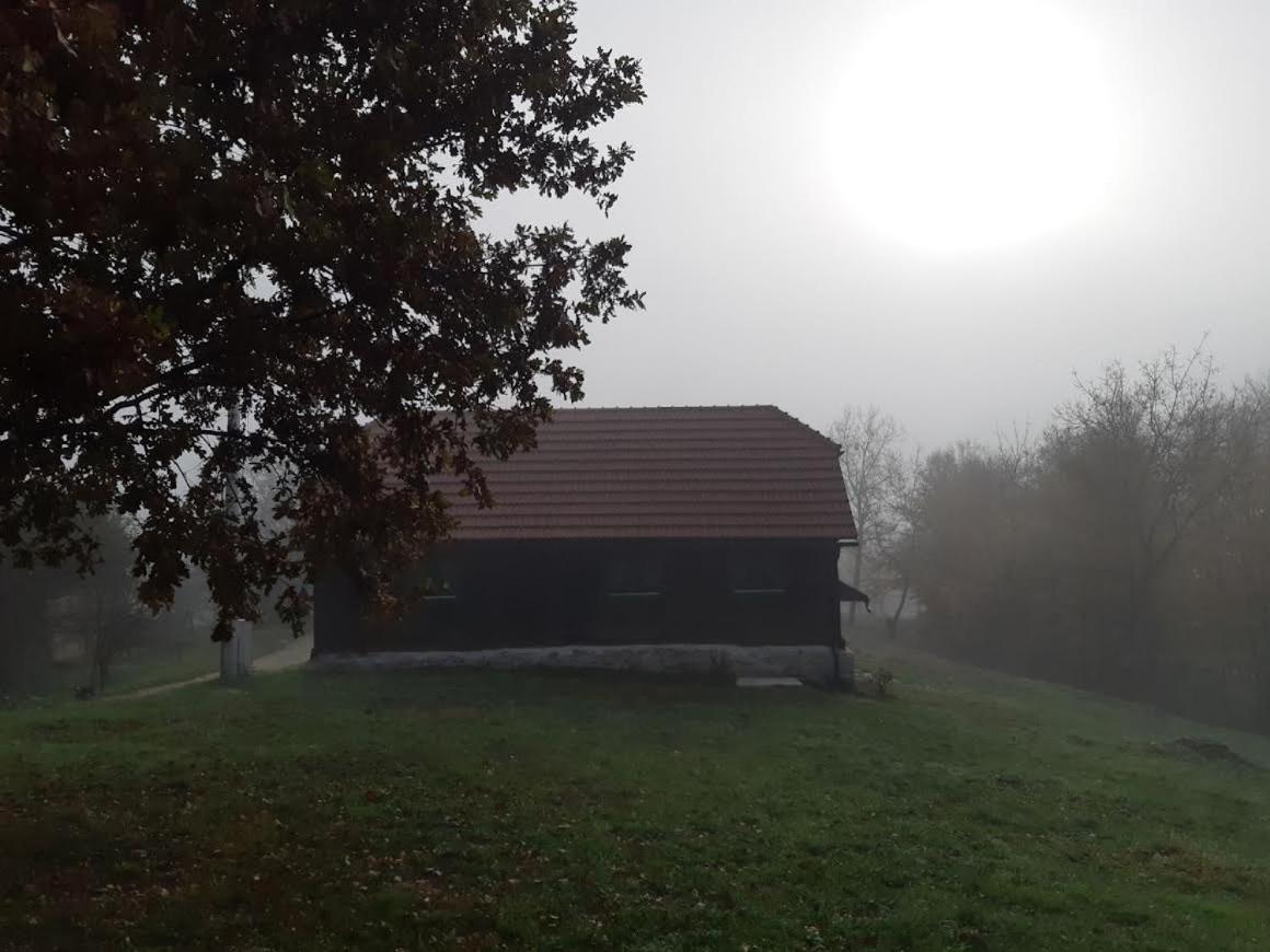 Bakina Iza Villa Duga Resa Exterior photo