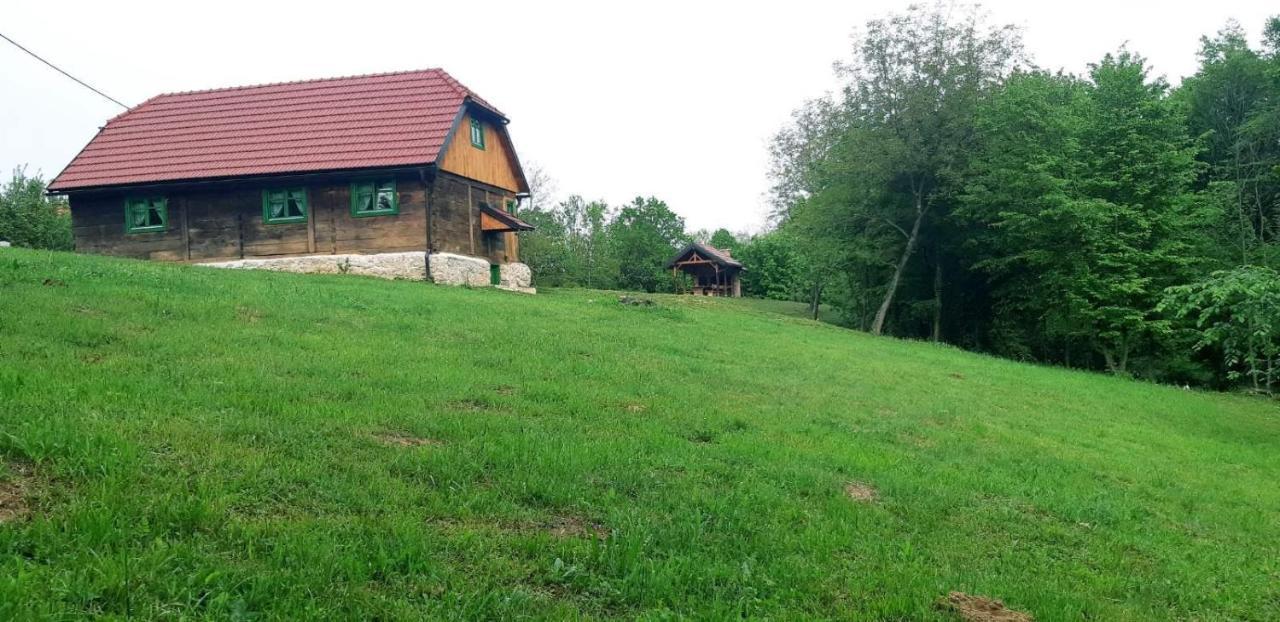 Bakina Iza Villa Duga Resa Exterior photo