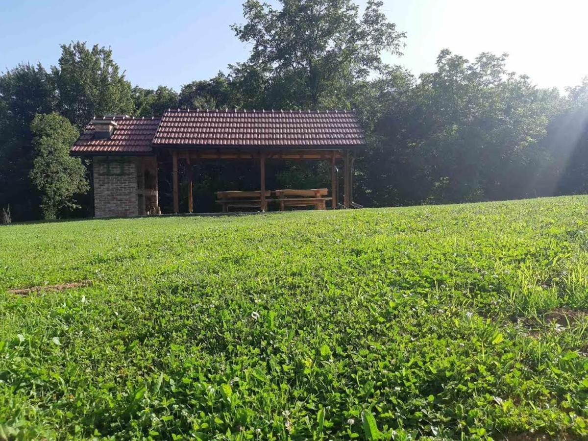 Bakina Iza Villa Duga Resa Exterior photo