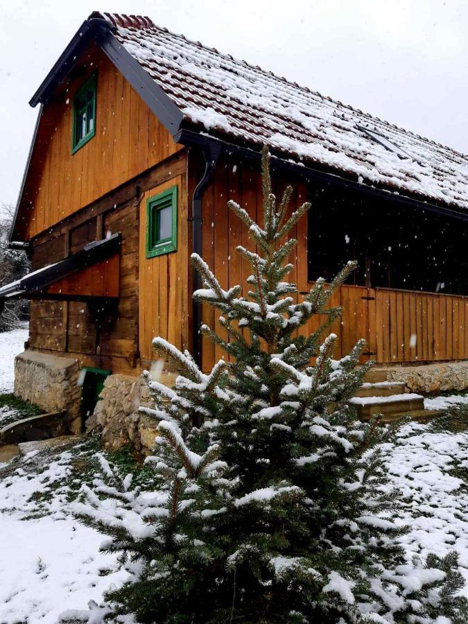 Bakina Iza Villa Duga Resa Exterior photo