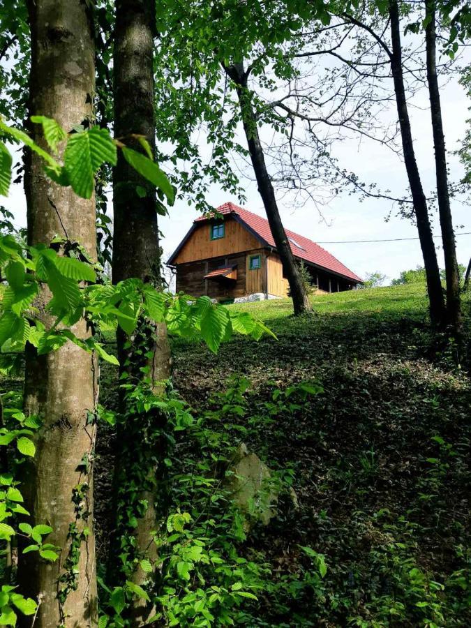 Bakina Iza Villa Duga Resa Exterior photo