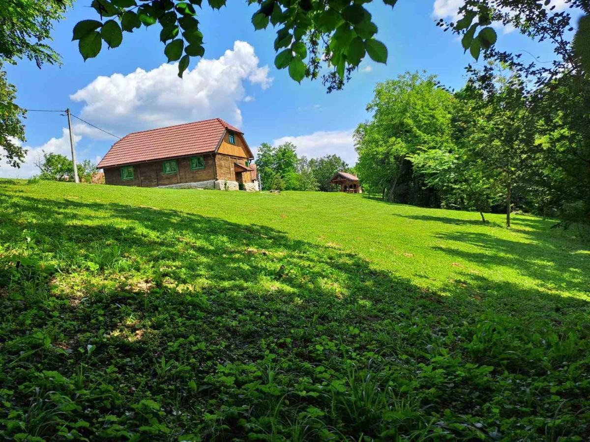 Bakina Iza Villa Duga Resa Exterior photo